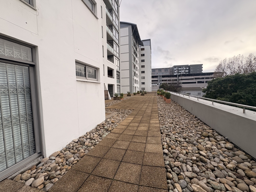 To Let 0 Bedroom Property for Rent in Claremont Upper Western Cape